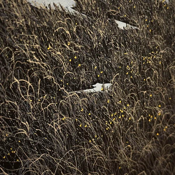 Image of Spring landscape by Oleh Dron, size: 80х80см, made of Canvas, acrylic, from Lviv, Ukraine Photo 3 of 4.