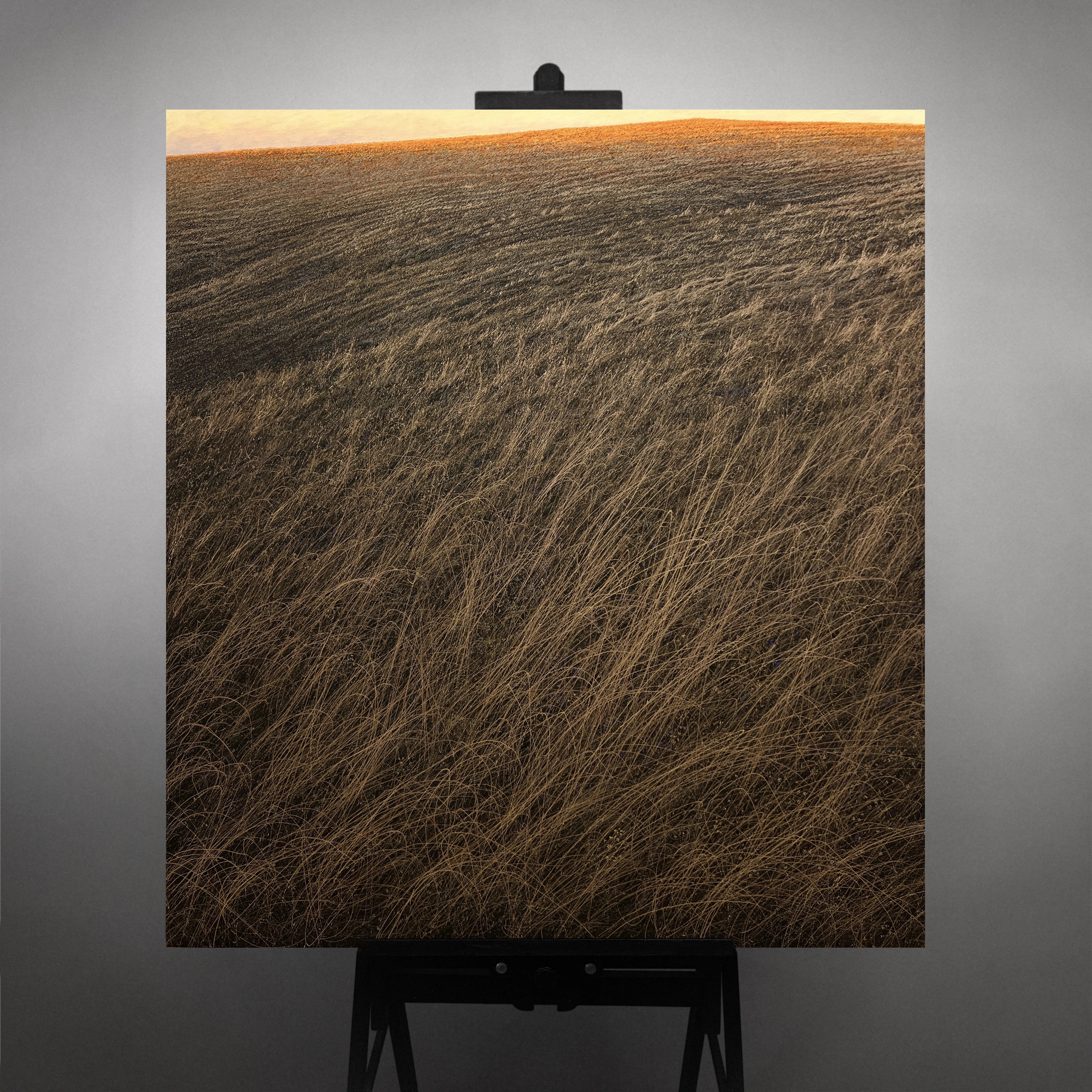 Image of To the light by Oleh Dron, size: 110х100 cm, made of Canvas, acrylic, Original artworks medium, from Lviv, Ukraine Photo 1 of 6.