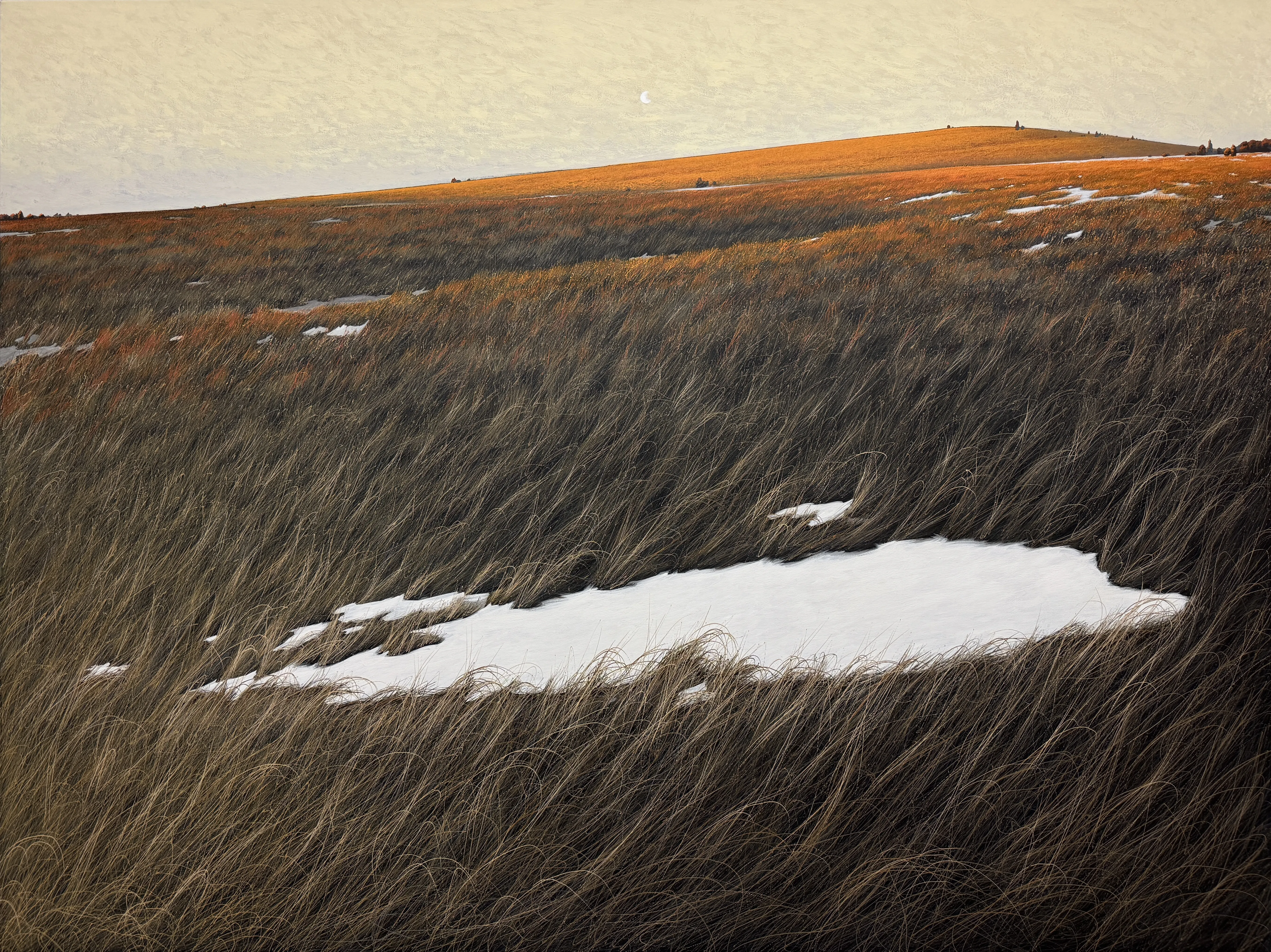 Image of Land by Oleh Dron, size: 150х200cm, made of Canvas, acrylic, Original artworks medium, from Lviv, Ukraine Photo 2 of 6.