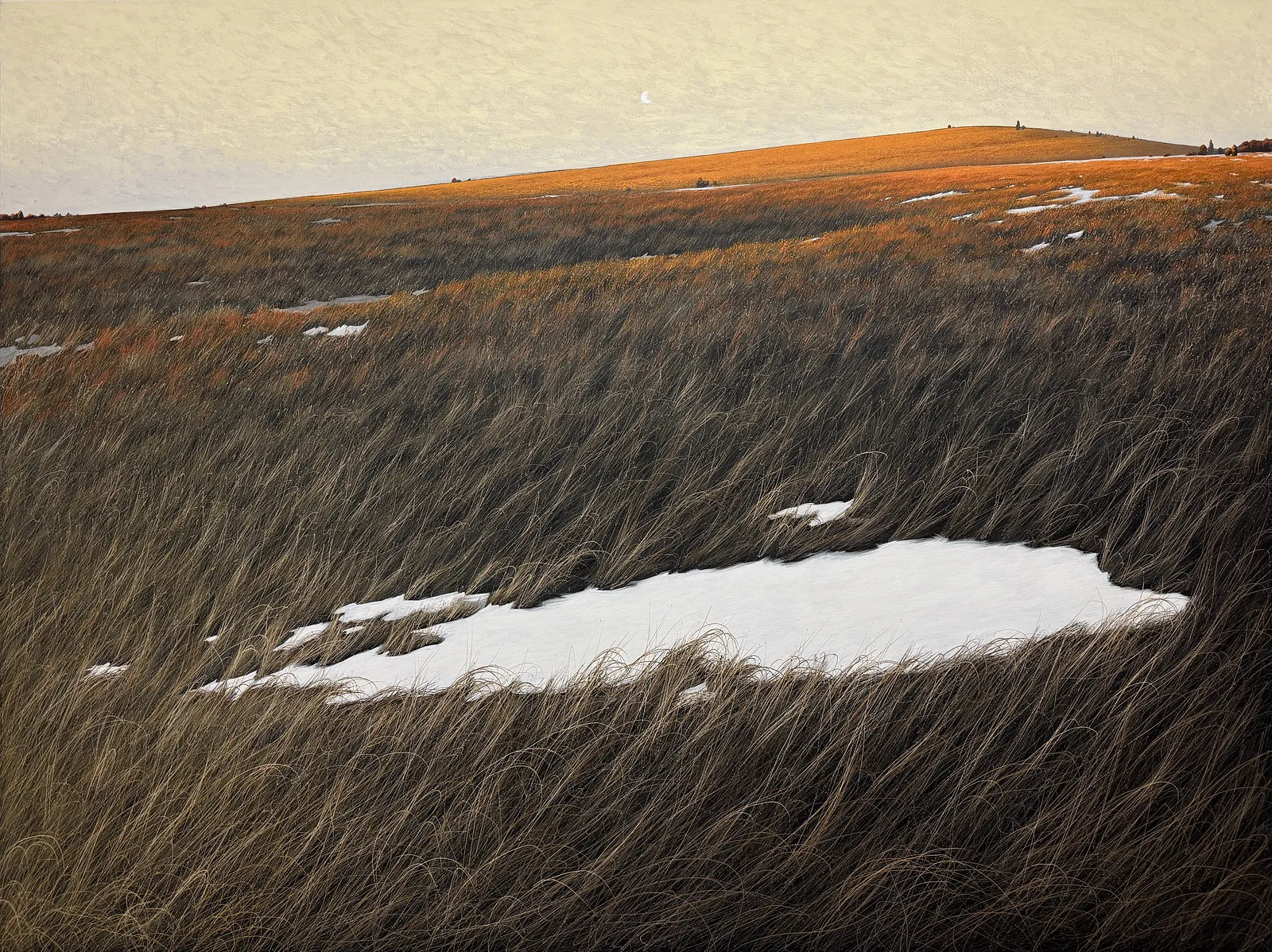 Image of Land by Oleh Dron, size: 150х200cm, made of Canvas, acrylic, Original artworks medium, from Lviv, Ukraine Photo 2 of 6.
