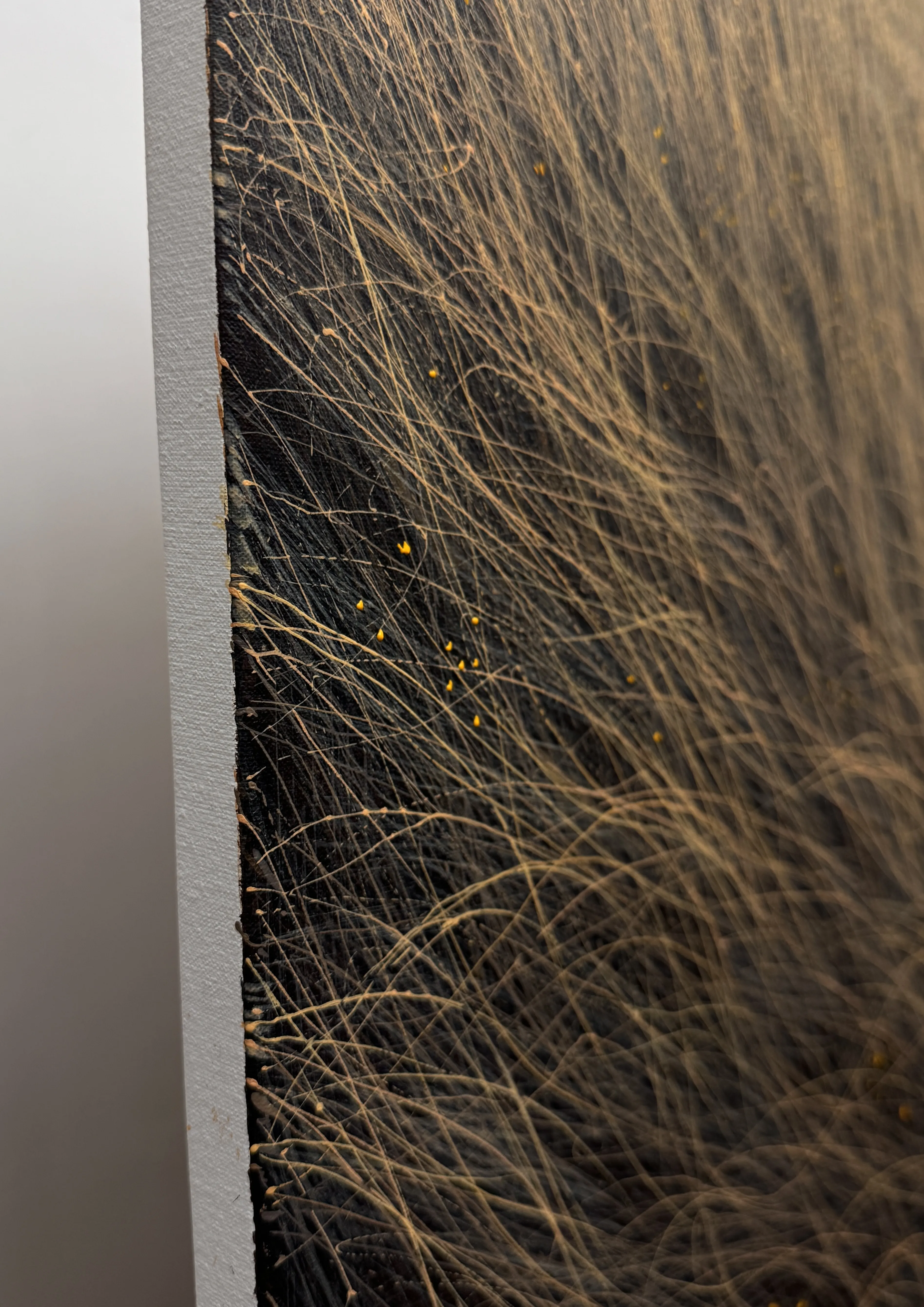 Image of Ray by Oleh Dron, size: 80х100cm, made of Canvas, acrylic, Painting medium, from Lviv, Ukraine Photo 2 of 5.